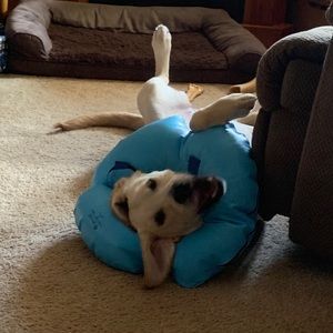 Meet your Posher, Karen